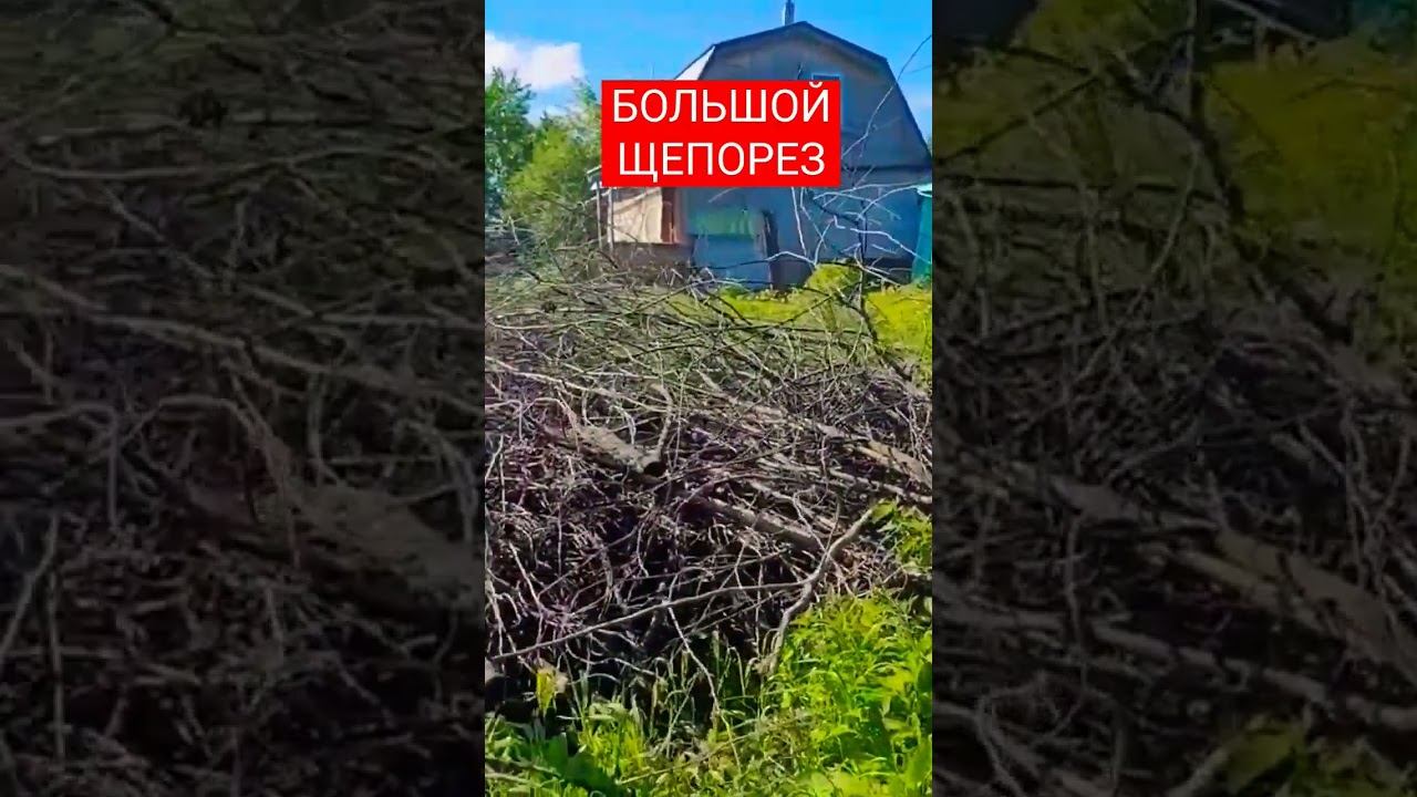 Большой щепорез за работой. Утилизация больших веток. #щепорез #дача #огород #деревня