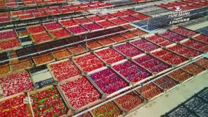 Маленькая Италия в Армении: секреты сушки помидоров и соусов с вялеными томатами | «Поедем, поедим!»