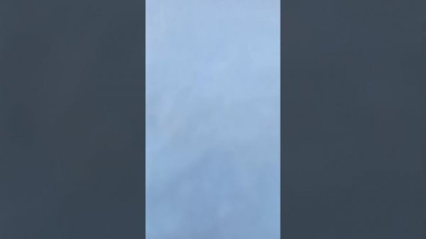 Тайна пропавшей капибары часть 1