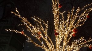 Зимний вечер в сквере Аксакова