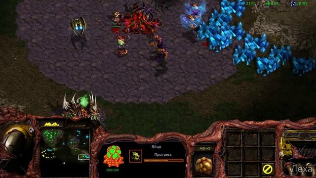 StarCraft Remastered 20 смотреть онлайн