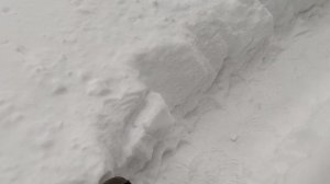 чистим поселковую дорогу