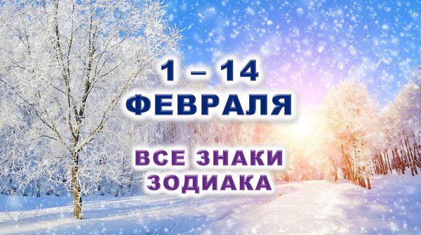 ❄️ С 1 по 14 ФЕВРАЛЯ 2026 г. 🩵 Таро-прогноз для каждого знака зодиака 💙