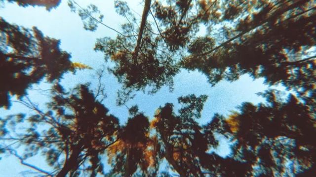 Дым смотреть онлайн