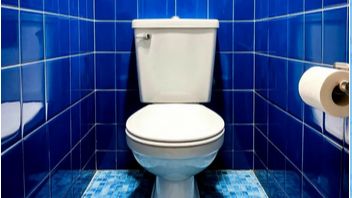 Ремонт стены туалета. Если есть запасные плитки...