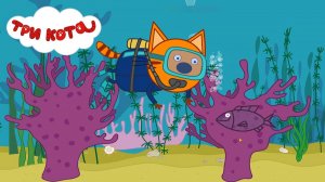 Три Кота ➤ Морское Приключение #1.Развивающее Видео для Детей