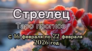 СТРЕЛЕЦ  💖таро прогноз ‼️16.02-22.02(2026) #прогноз #таро #стрелец