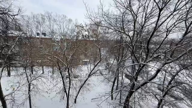 1860504819037955456 смотреть онлайн