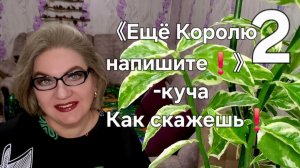 2 часть. 《Ещё Королю напишите❗️》- куча. Как  скажешь❗️