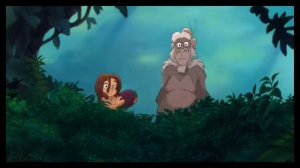 четыре попугая котёнок и щенок 6