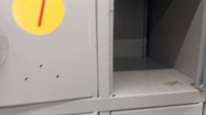 29-31 января 2026. Январские моменты.