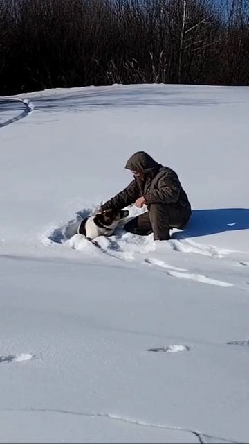 Прогулки, пробежки, воспитание смотреть онлайн