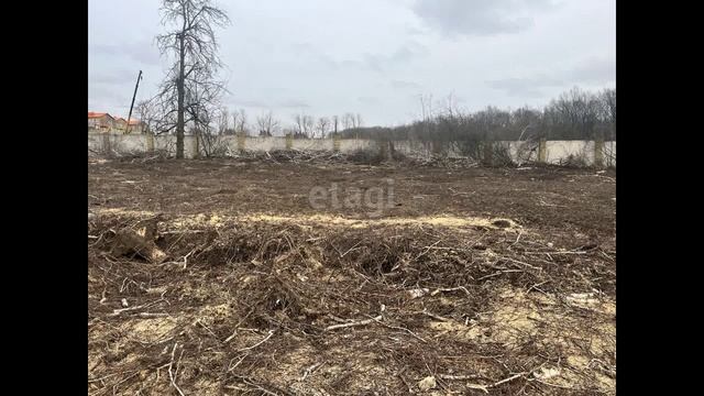 7606121 смотреть онлайн