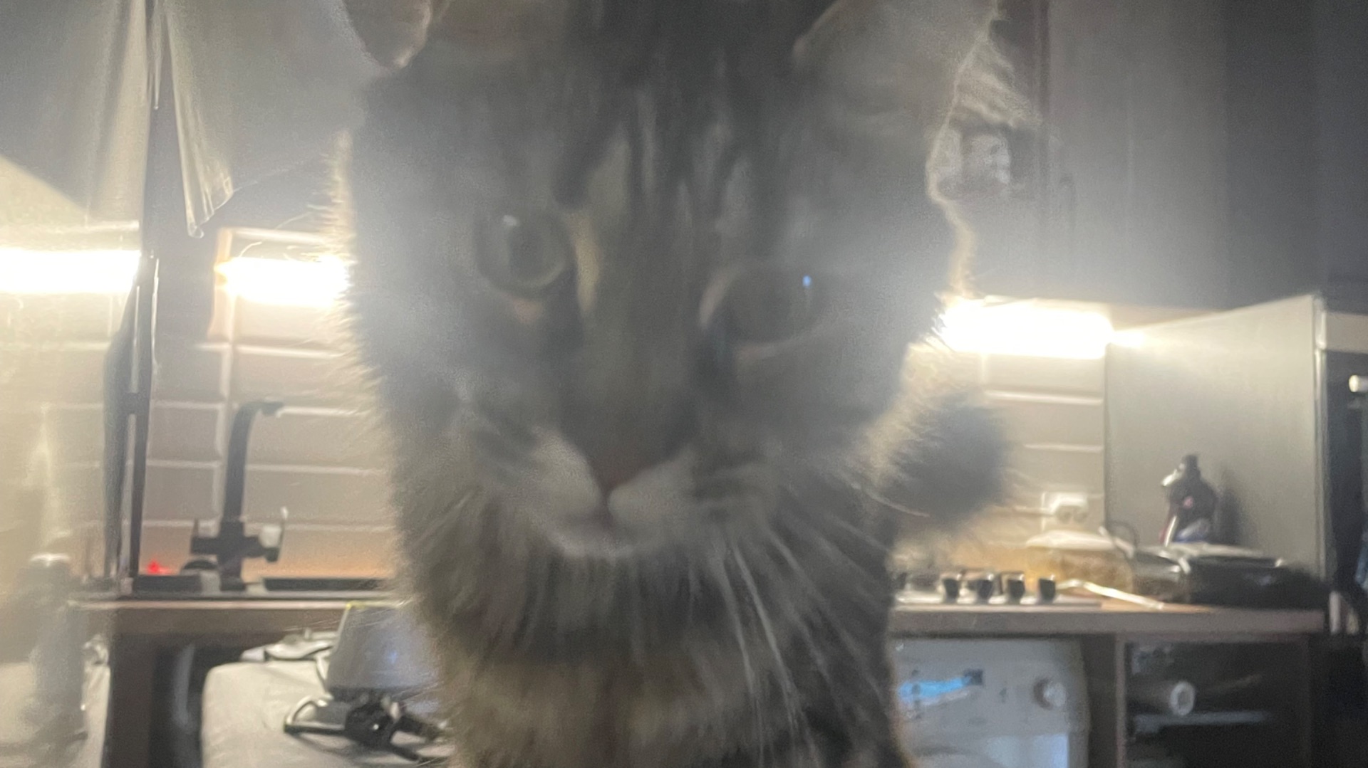 Привет давай познакомимся