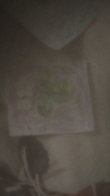 открытие мега бокса