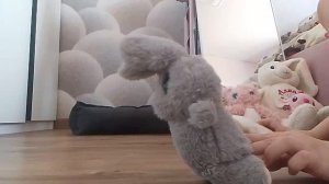 первые новогодние каникулы Яны 8 серия