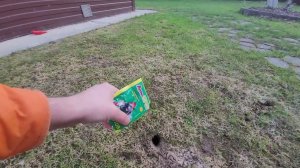 Как избавиться от кротов на дачном участке?