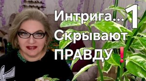 1 часть .Интрига...Скрывает ПРАВДУ❗️