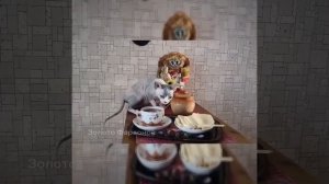 Keepers of the Fire Bacardi Blue Eurasia & Золото Фараонов