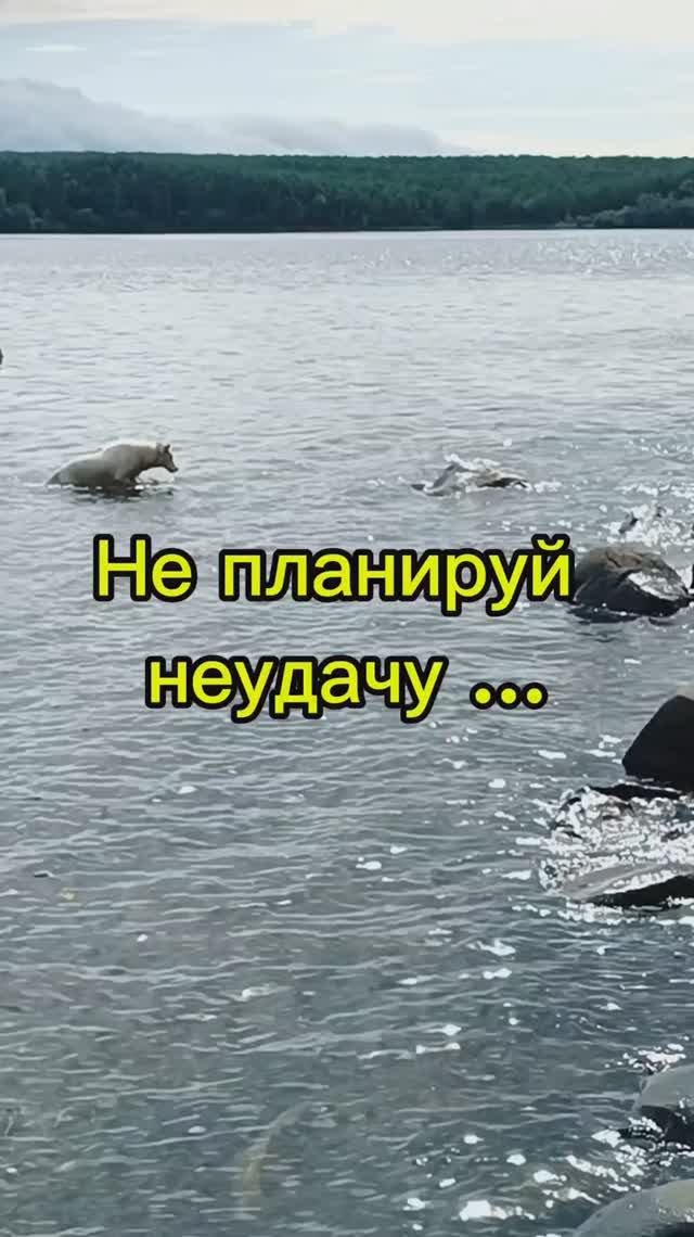 Не планируй неудачу