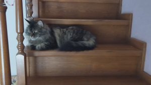 ❗️Общаюсь с тем , с кем хочу‼️