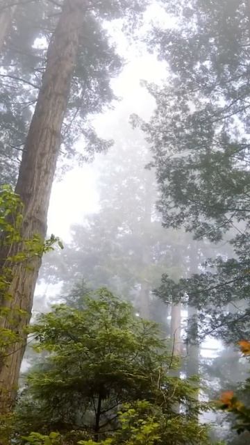 У тебя есть всё для вещей смотреть онлайн