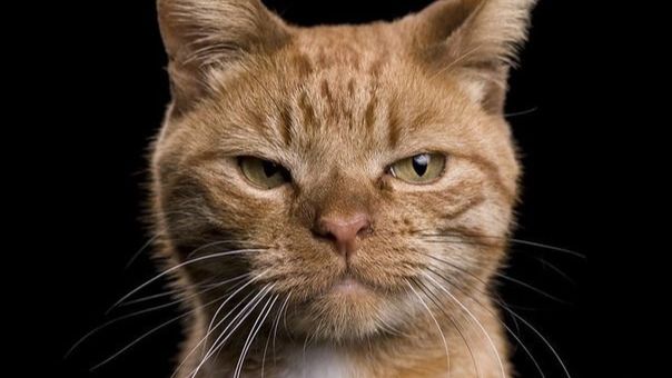 Бег по кругу смотреть онлайн