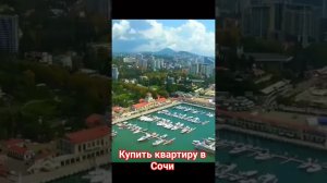 Сочи! Классные апартаменты в центре у реки в 5 мин от Морпорта!