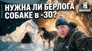 Делаю Берлогу для собаки. Снег. снег. снег в деревне .ЖКВ Саморучка