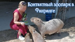 Контактный зоопарк в Фанранге. Зимуем в Фанранге. Бюджетный отдых. Вьетнам.