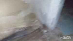 подвал с 5подписок как яговарил