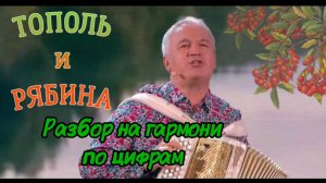 «Тополь и рябина» разбор на гармони по цифрам