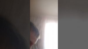 пол это лава