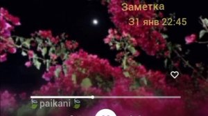 типа цыганская песня новая  2026 года новая 🍃🔱