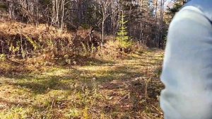 По дорогам войны. Село Победино (Сахалин). Часть 2