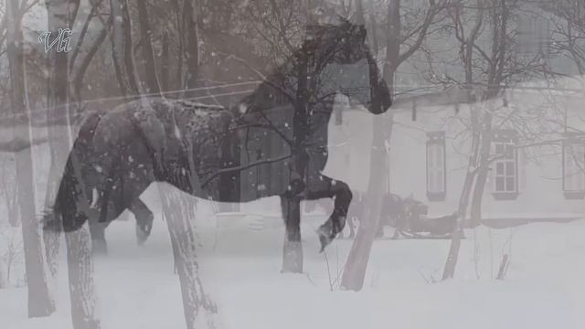 Георгий Свиридов Романс (сюита Метель) Гениальная музыка! Будет звучать вечно