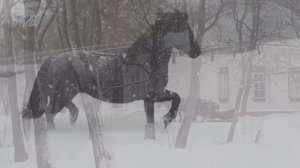 Георгий Свиридов Романс (сюита Метель) Гениальная музыка! Будет звучать вечно