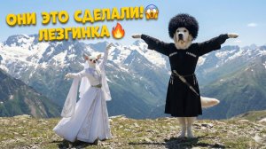 🔥 ЭТА ЛЕЗГИНКА ВЗОРВЕТ ИНТЕРНЕТ! Тедди и Лиза в горах Кавказа | Танцы народов мира #1