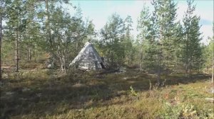 Лес, чум, медведи,  ягоды, грибы и прочее. 02.09.23.