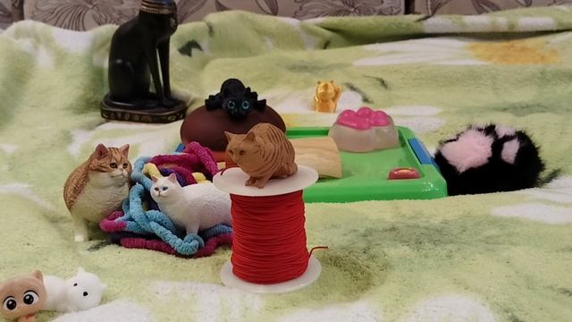 1 серия приют #13 котики помогают найти дом 🐈🐈⬛🐈🐈 смотреть онлайн