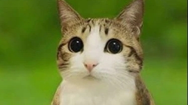 стрим по War Thunder смотреть онлайн