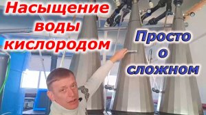 Оксигенация в УЗВ. Просто о сложном. Самое важное для рыбовода.
