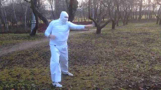 Immortal Ninja: Emerald Stork wing horizon(34.6.16.)Бессмертный ниндзя: Изумрудоаист крылил горизонт