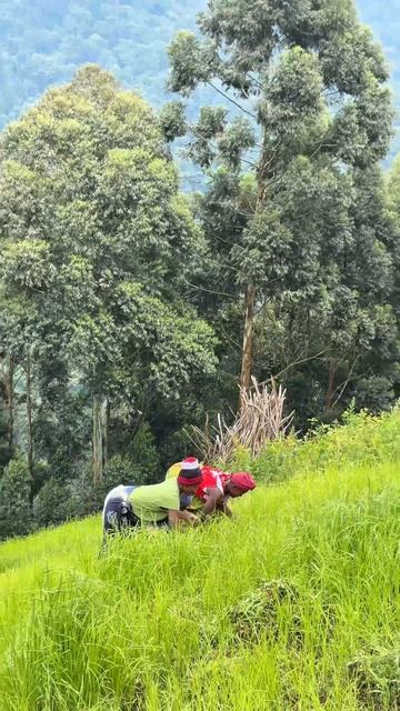 Любимая рубрика #ЗаСценой