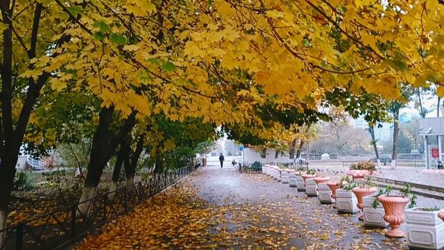 Волгодонск. Из осенних зарисовок...