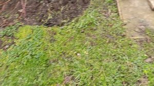 31 декабря 2026 год