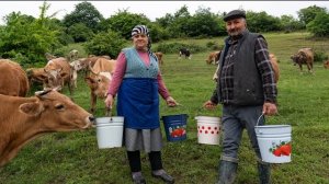 Сыроварение | Сыр Моцарелла из Свежего Молока 🥛🧀