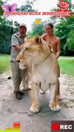 Животные приколы и не только😅