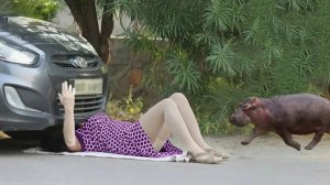 Сборник Лучших Приколов