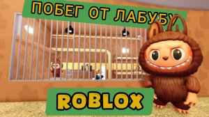 НОВОЕ ПРОХОЖДЕНИЕ ЗАБЕГА ИЗ ТЮРЬМЫ ЛАБУБУ! Обби в Roblox!